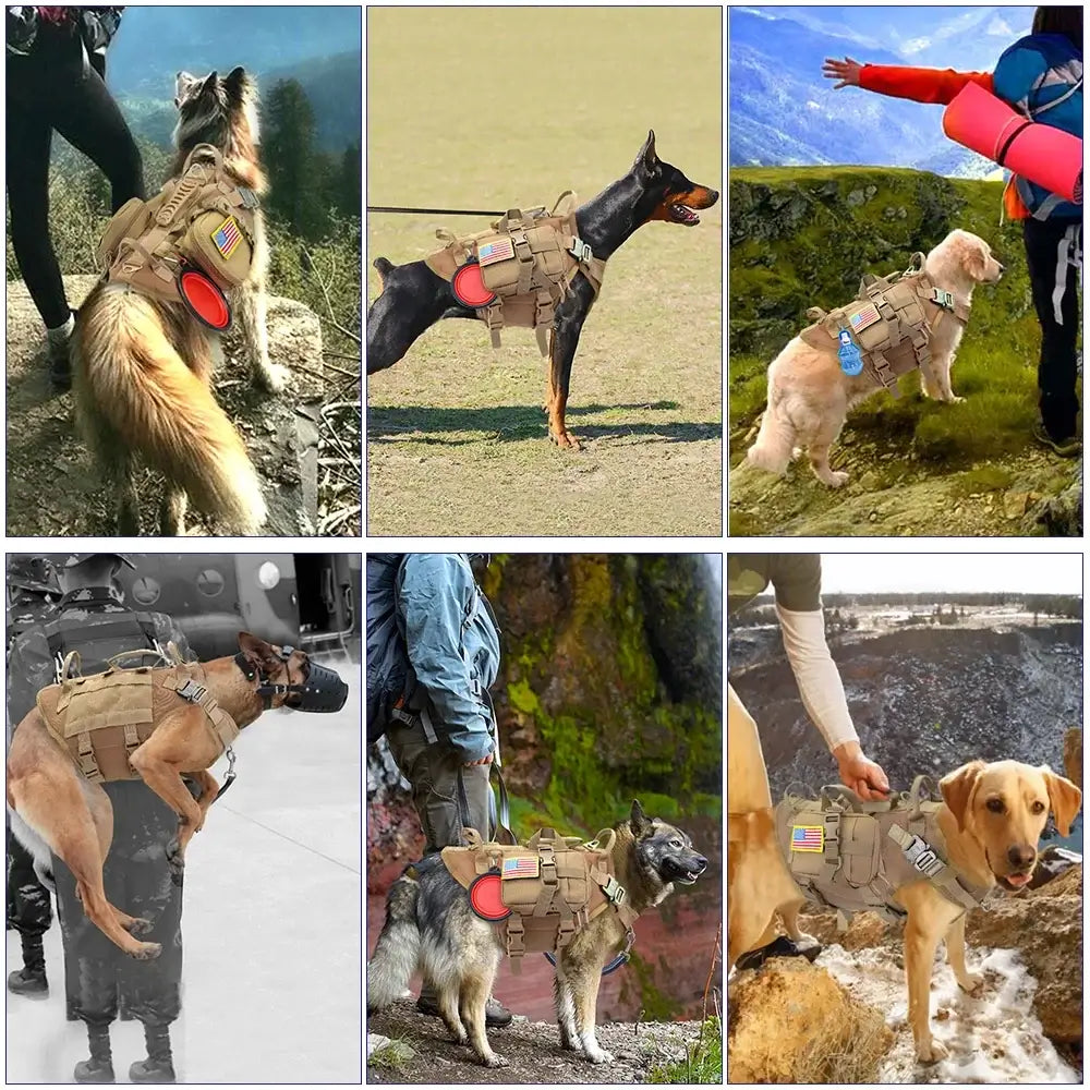 tactical dog harness with pouches for medium and large dogs, ideal for training, hiking, and outdoor adventures