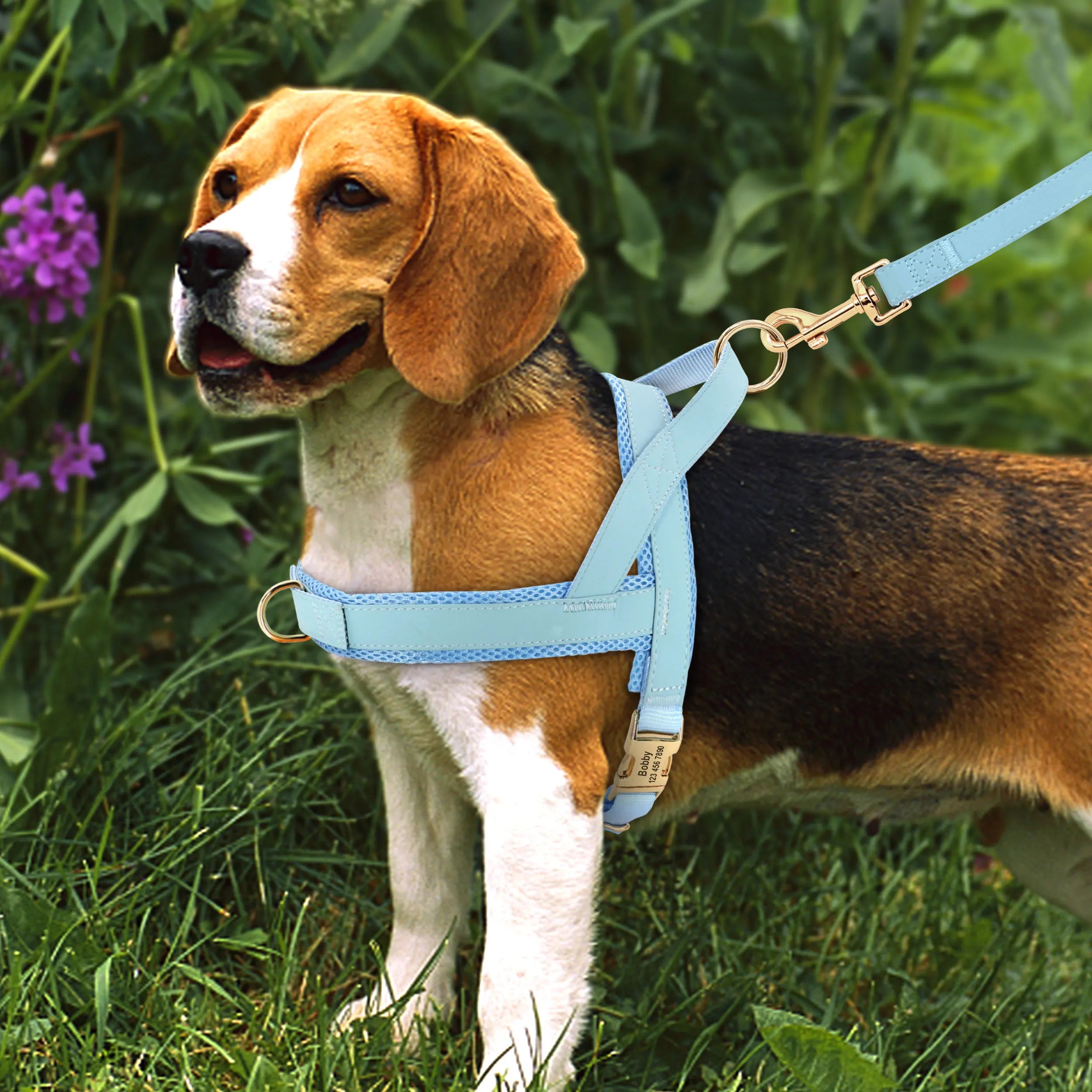 personalized no pull dog harness leash set for small to large dogs, adjustable light blue walking harness