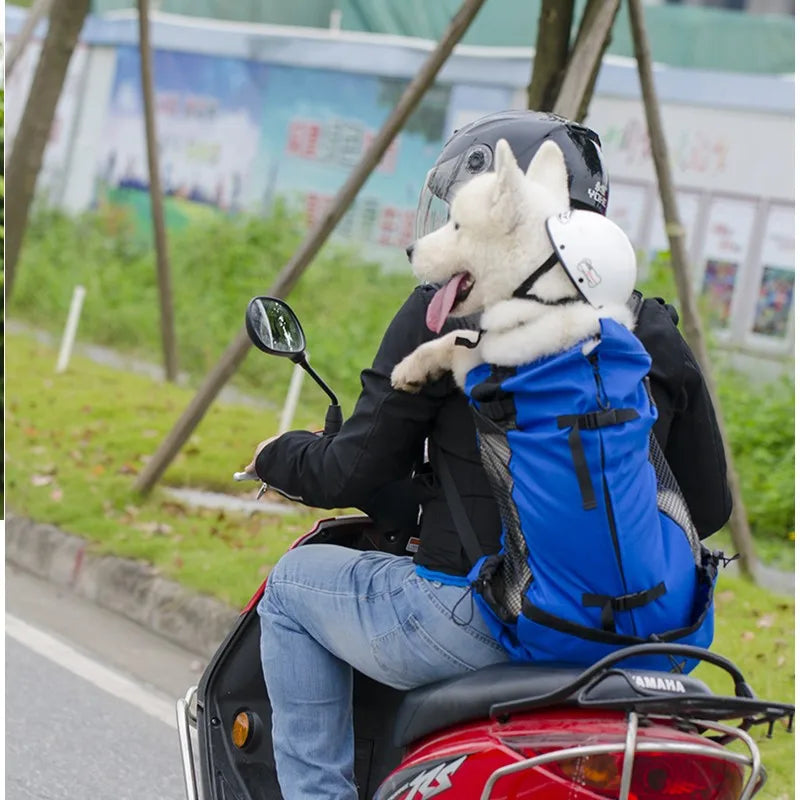 Blue breathable dog carrier backpack for motorcycle travel, mesh ventilation, zipper closure, universal dog transport