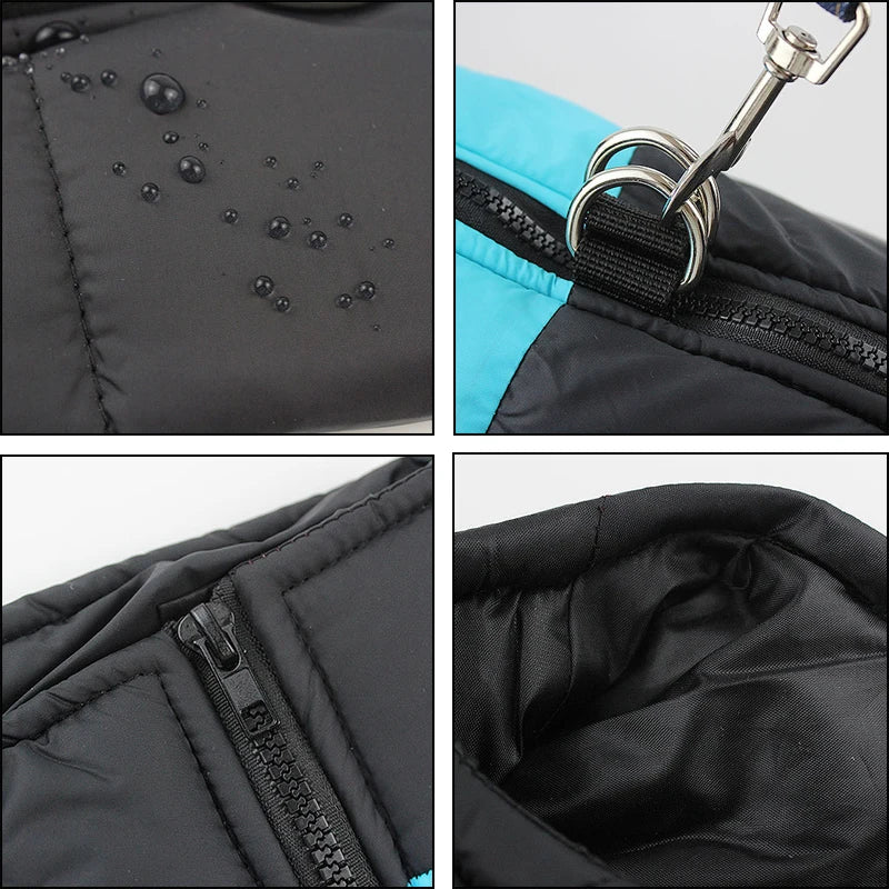 HTB11d96OxTpK1RjSZFMq6zG_VXaW - bestdoggylife.shop