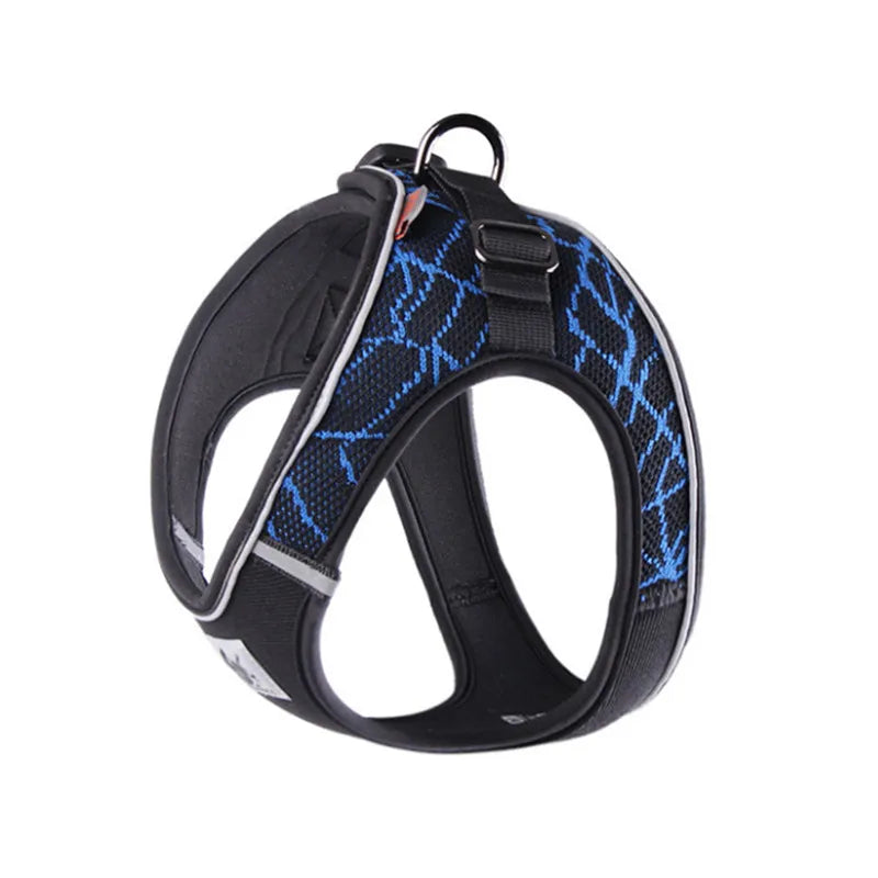 HTB141ZtXUGF3KVjSZFvq6z_nXXao - bestdoggylife.shop