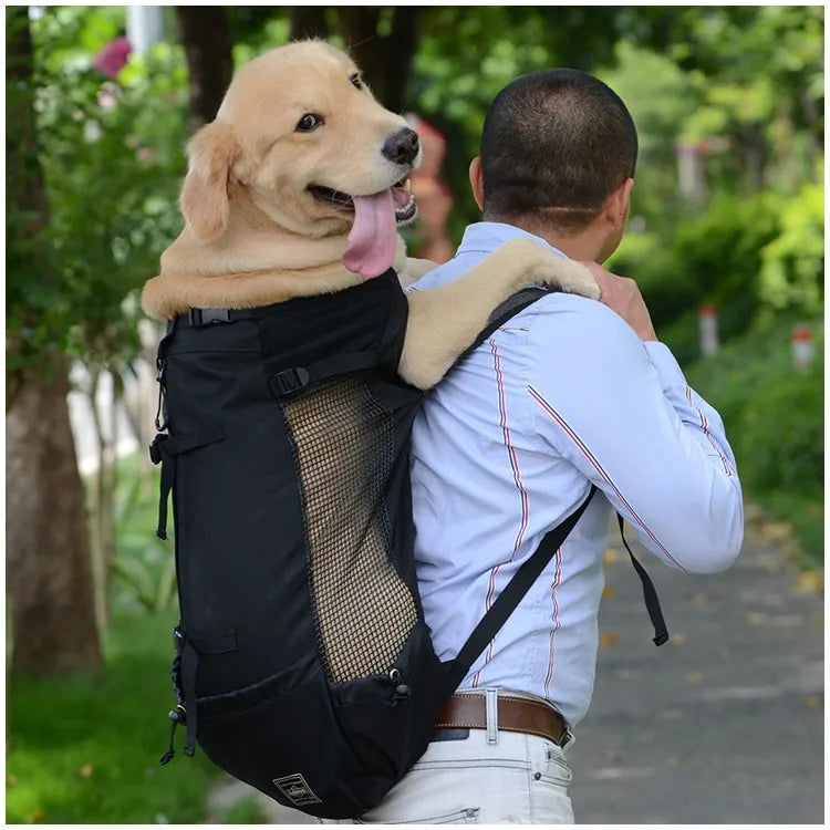 Golden retriever in a breathable dog carrier backpack on a man’s back during an outdoor walk