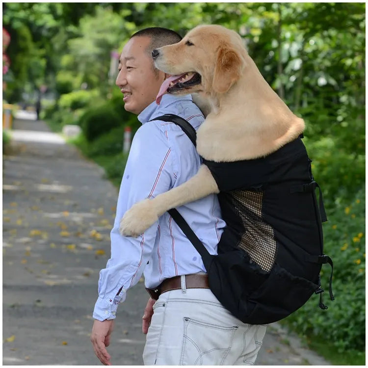 breathable dog carrier backpack for hiking, secure pet transport in a mesh backpack on a man outdoors