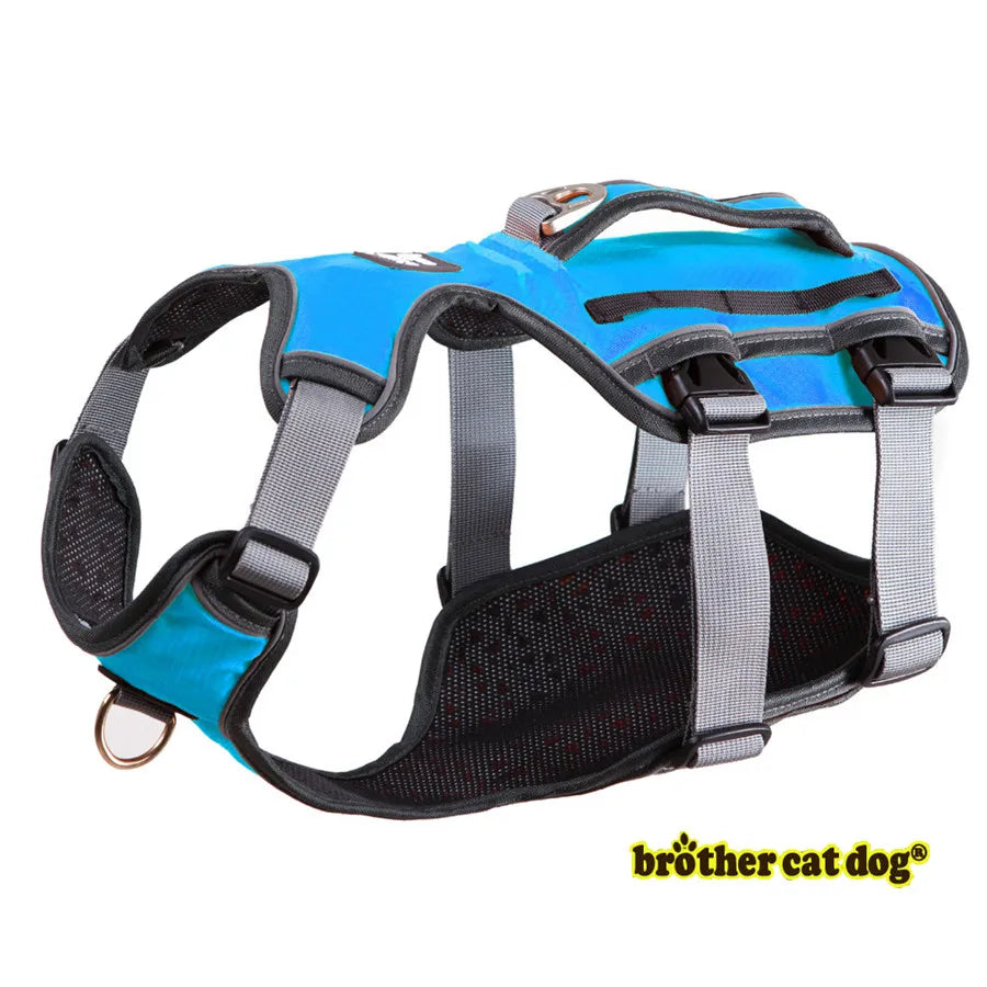 HTB1CK6sfx9YBuNjy0Ffq6xIsVXas - bestdoggylife.shop