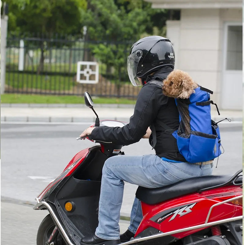 Man riding a scooter with a small dog in a breathable dog carrier backpack for safe outdoor travel