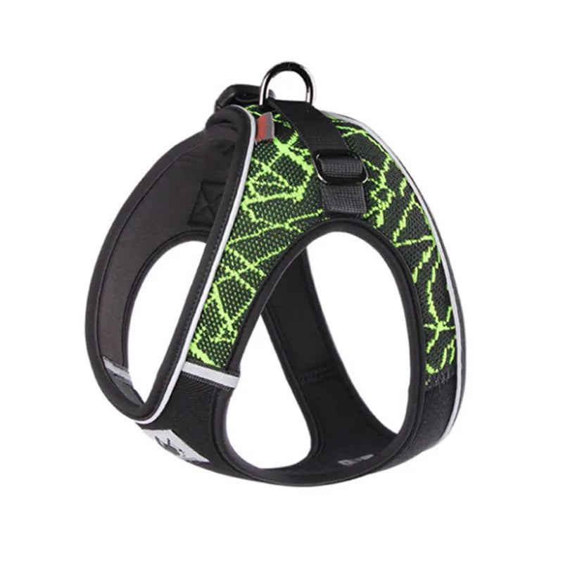 HTB1cKUtXUWF3KVjSZPhq6xclXXa0 - bestdoggylife.shop