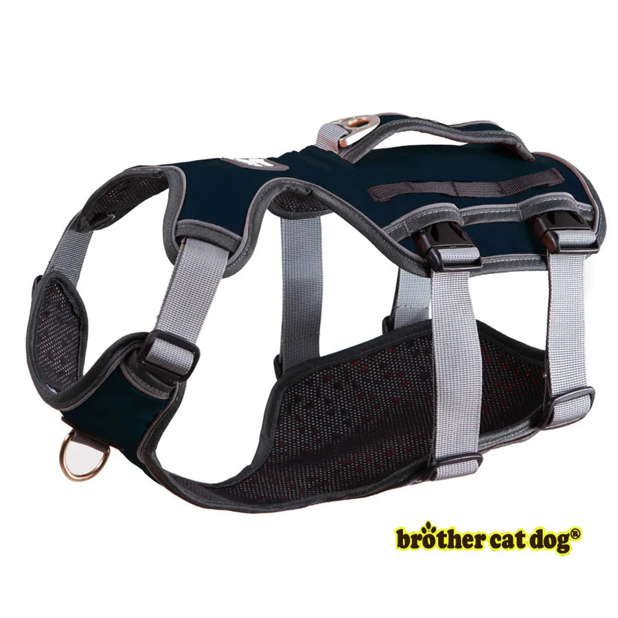 HTB1dQK3fv5TBuNjSspcq6znGFXaf - bestdoggylife.shop