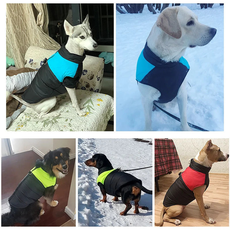 HTB1eww5vVooBKNjSZPhq6A2CXXax - bestdoggylife.shop