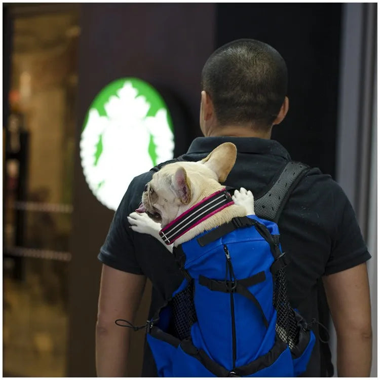 Man wearing a breathable dog carrier backpack with a small French bulldog in a blue travel pet backpack