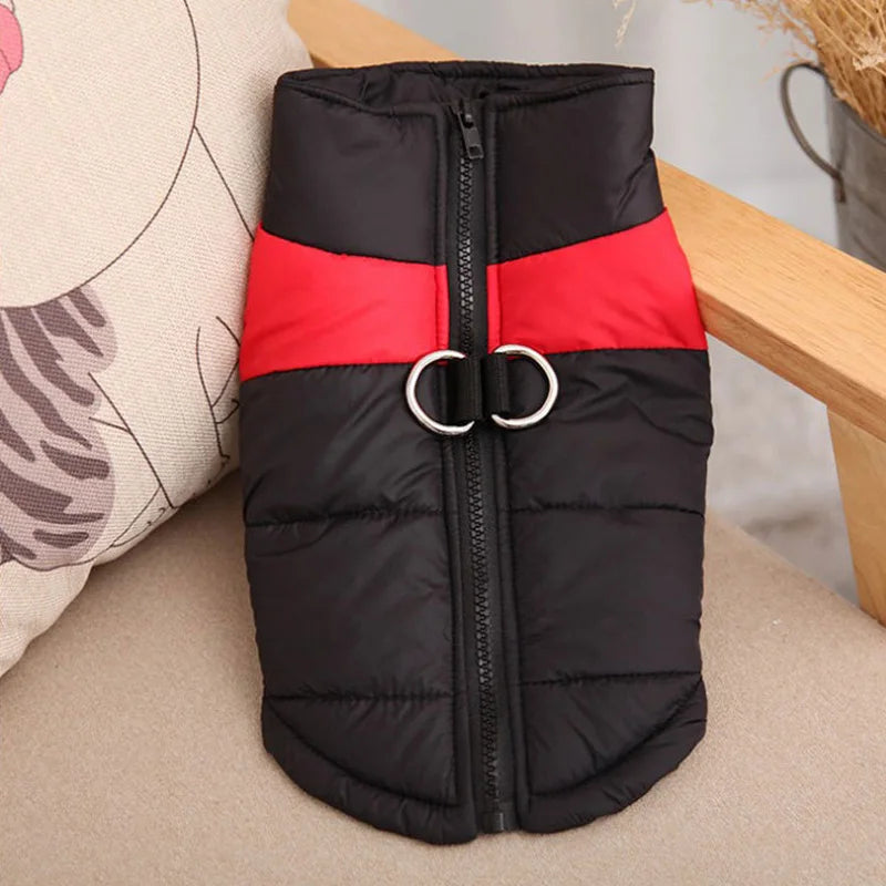 HTB1vaq9di6guuRjy0Fmq6y0DXXar - bestdoggylife.shop