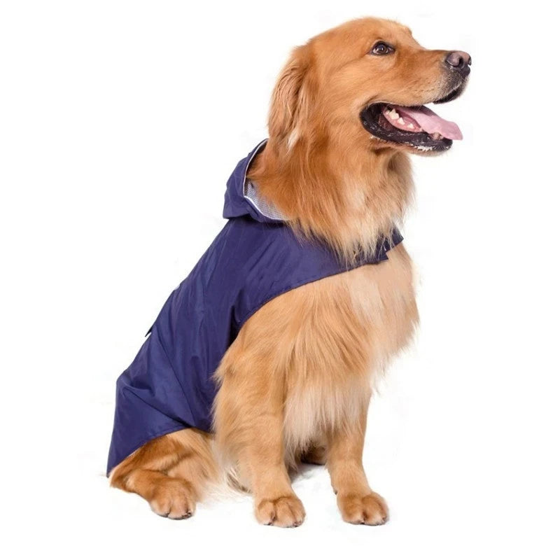 Ha4319c931e754a27a3cfb8b5274d9b5bh_08bb61c7-04b9-44c0-a7ed-833ed6286fea - bestdoggylife.shop