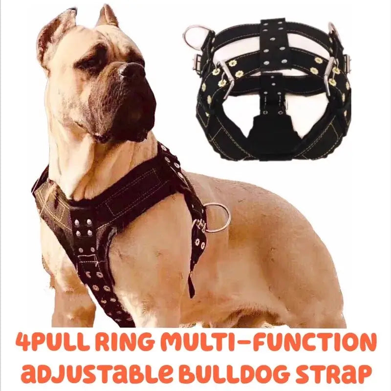 Large dog harness for pit bull with adjustable padded nylon buckle design, durable multi-function bulldog strap