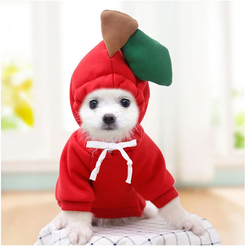Hef6431b61bc84a908f23d91f8a871797P - bestdoggylife.shop
