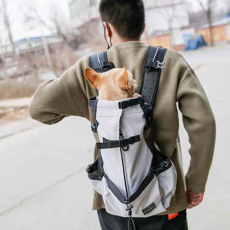 Man wearing breathable dog backpack carrier with small dog for outdoor walking and travel