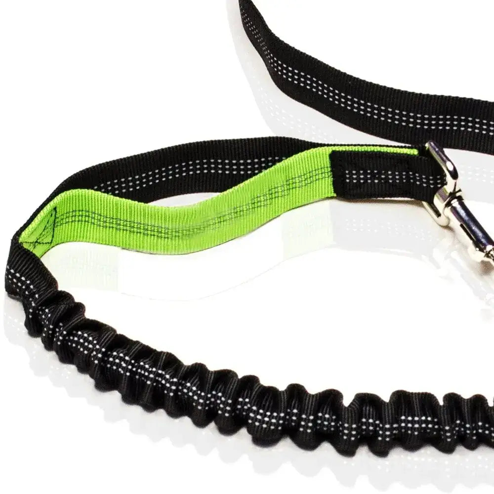 Retractable Dog Leash with Adjustable Waist Rope Hand Free Running Jogging Cycling Big Dogs Pet Elasticity Lead Pet Supplies