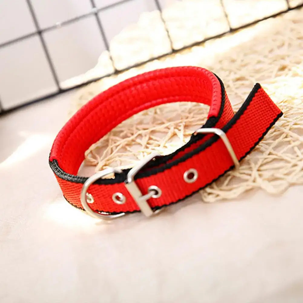 Red adjustable nylon dog collar with metal buckle and traction ring for durable pet neck support