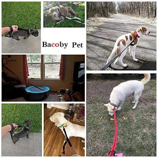 heavy duty double handle dog leash for outdoor travel and training, giving greater control and safety