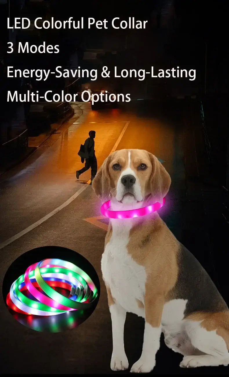 LED dog collar colorful pet collar with 3 modes, energy-saving, long-lasting multi-color options for dog safety