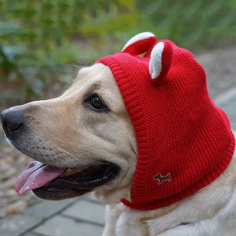 Warm Winter Dog Hat for Medium Large Breeds Labrador Golden Retriever Funny Pet Puppy Big Dog Ears Protection