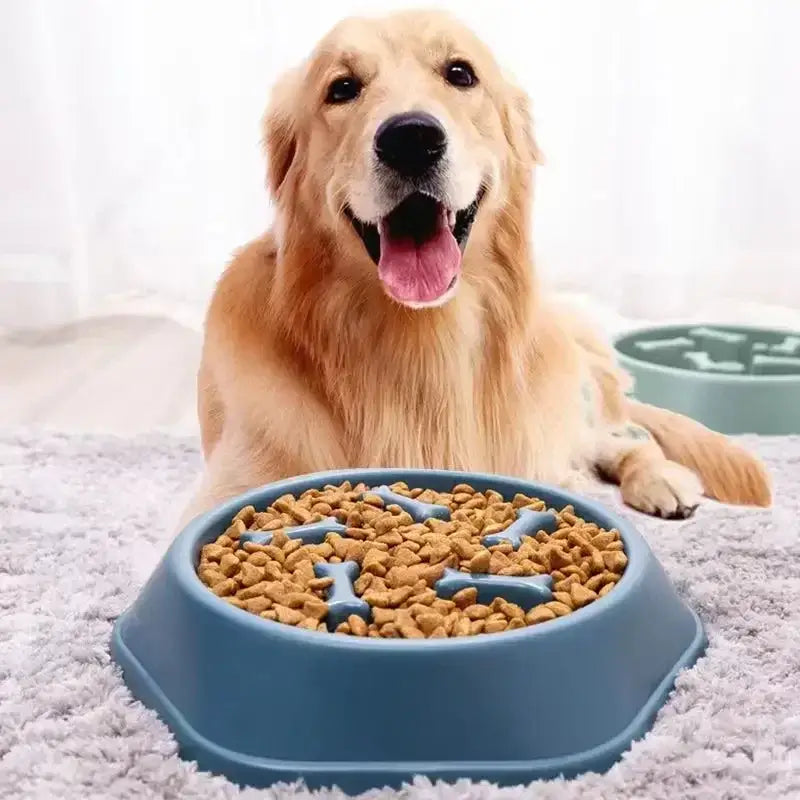 slow feeder dog bowl for dogs with anti-choking puzzle design and non-slip base, ideal for medium-sized pets