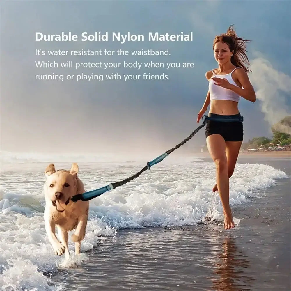 Hands Free Dog Leash for Pet Walking Running Retractable Elastic Belt Dog Traction Rope for Running Walking Pet Products with woman and dog.
