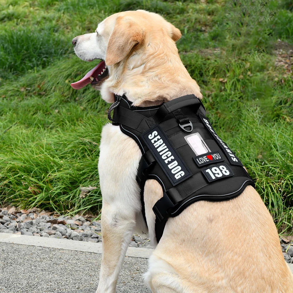 S07058c1fa12e430181b9c2ec7e246ecaE_035b05d5-f2ee-4645-ab76-7c6fbea7336a - bestdoggylife.shop