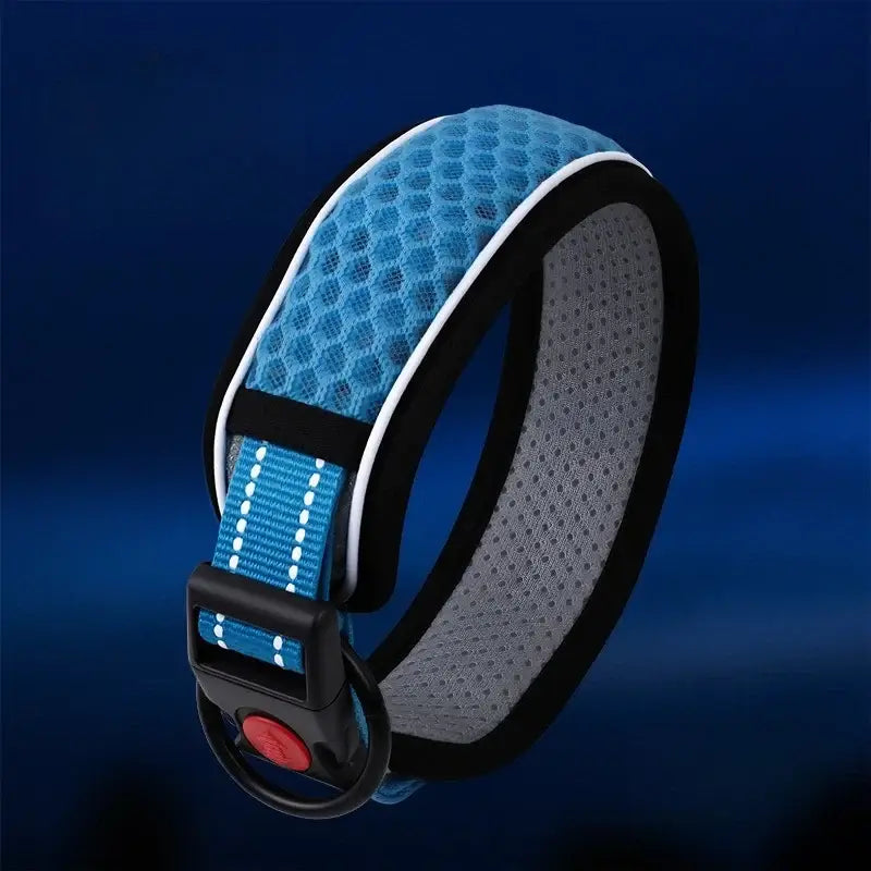 Blue dog collar with breathable padded mesh, adjustable buckle, and durable black clasp for puppy walking comfort