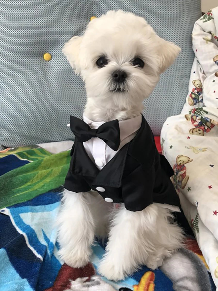 S084c5872571f482eb8a0e1579f8fa1e7E_7c3cc02b-0707-4b5a-9db3-222aa20830ec - bestdoggylife.shop