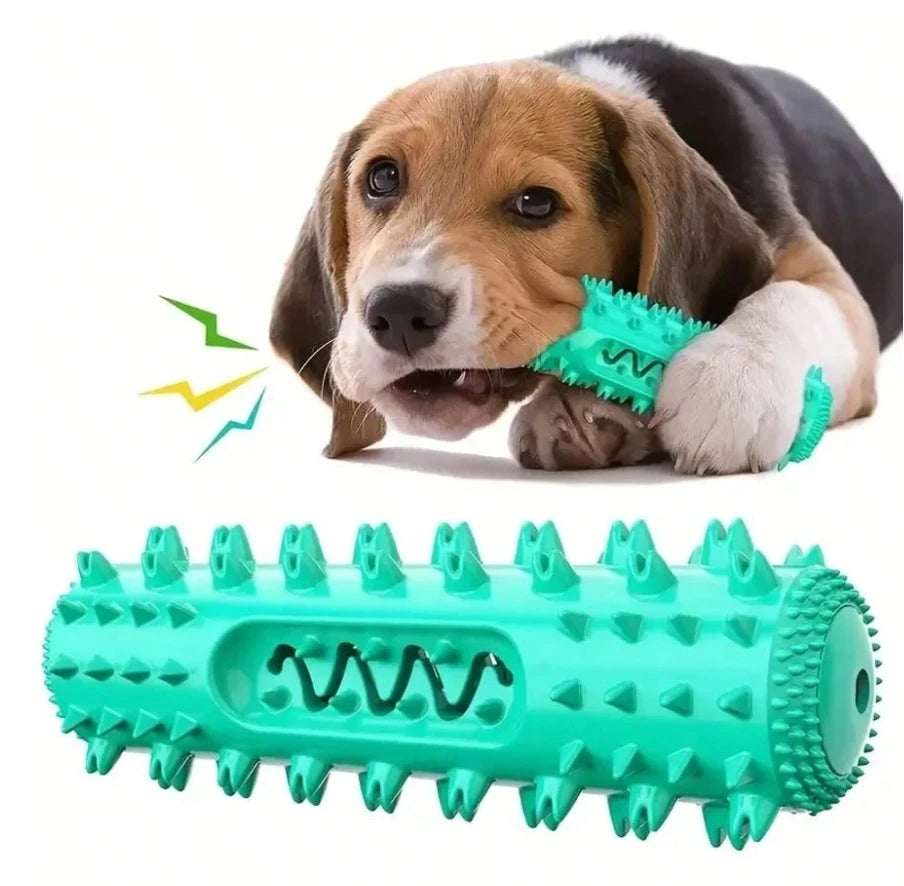 Dog tooth chewing toy for dogs, durable chew toy for oral care and tartar prevention, ideal for all dogs