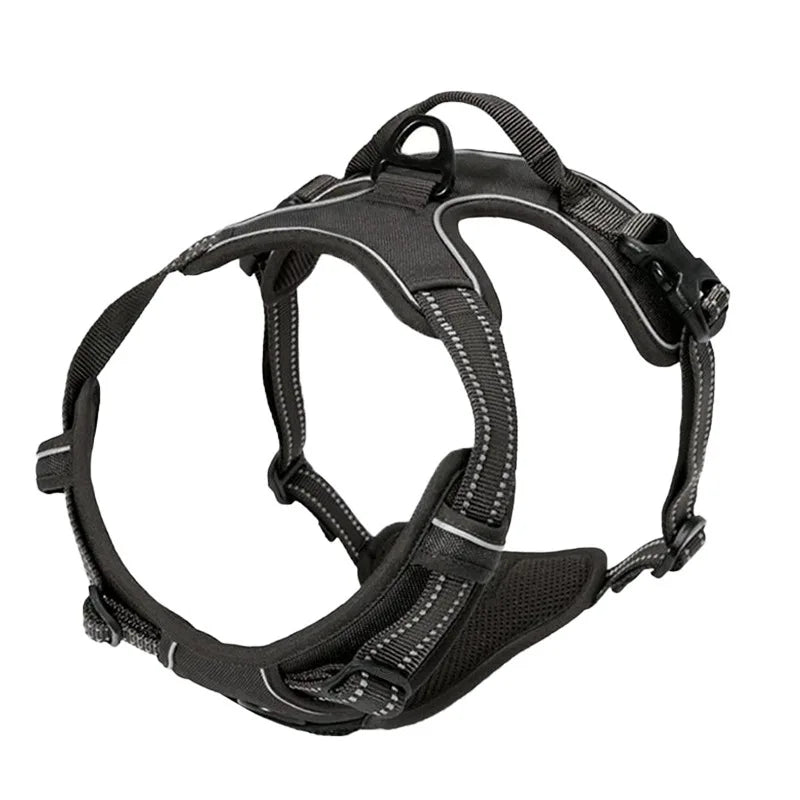 S0aa9e3338f8e42d9beb9e0882a0ba856j - bestdoggylife.shop