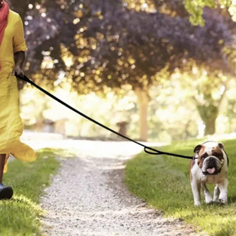 heavy duty double handle dog leash for large dogs with reflective strips, ideal for night safety and outdoor walking