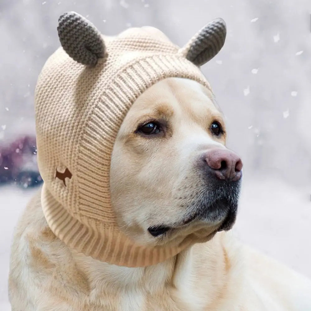 S0ff17903a62448b7abefb4f592584a79N - bestdoggylife.shop