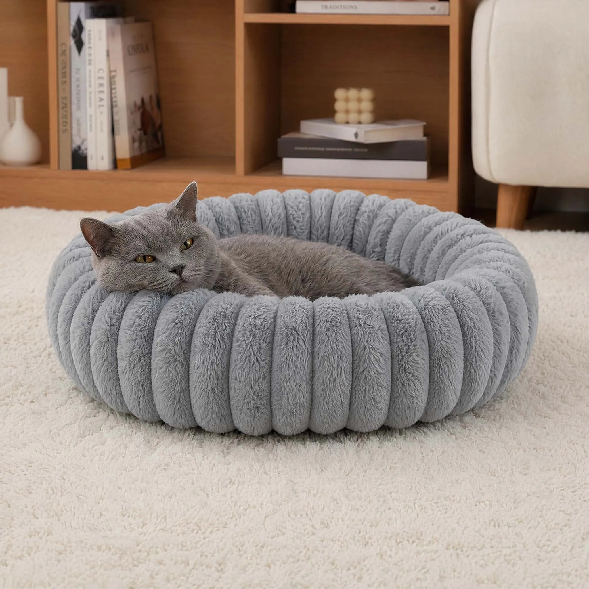 Gray cat resting in a plush donut cat bed, ultra soft round pet nest for cozy deep sleep and warmth