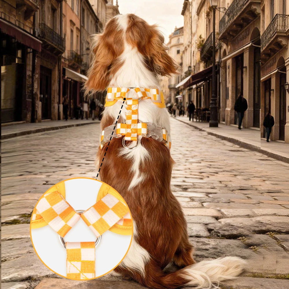 Plaid dog harness and leash set for small and medium dogs, soft padded adjustable vest with buckle, shown on a dog in a city street