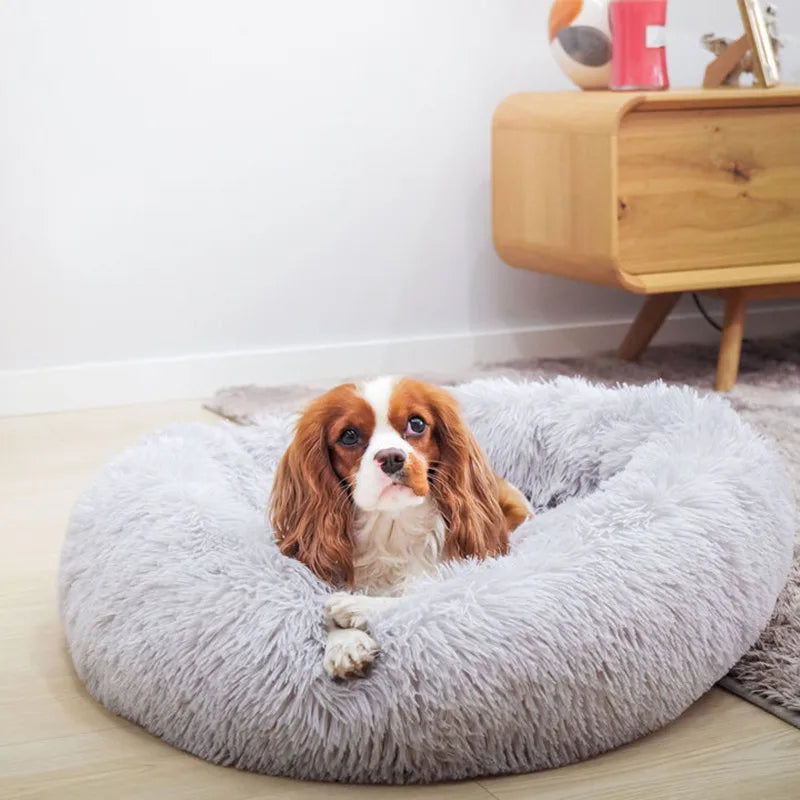 washable donut dog bed for small to medium dogs, super soft plush pet bed with raised rim for comfort