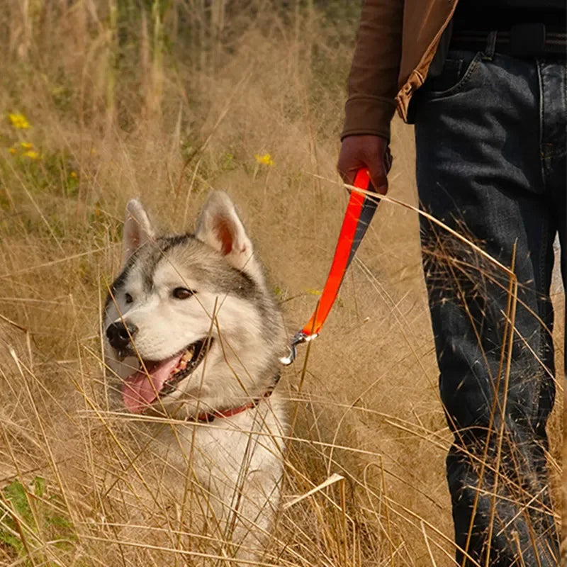 durable dog leash for large dogs, padded red leash for walking a husky in tall grass