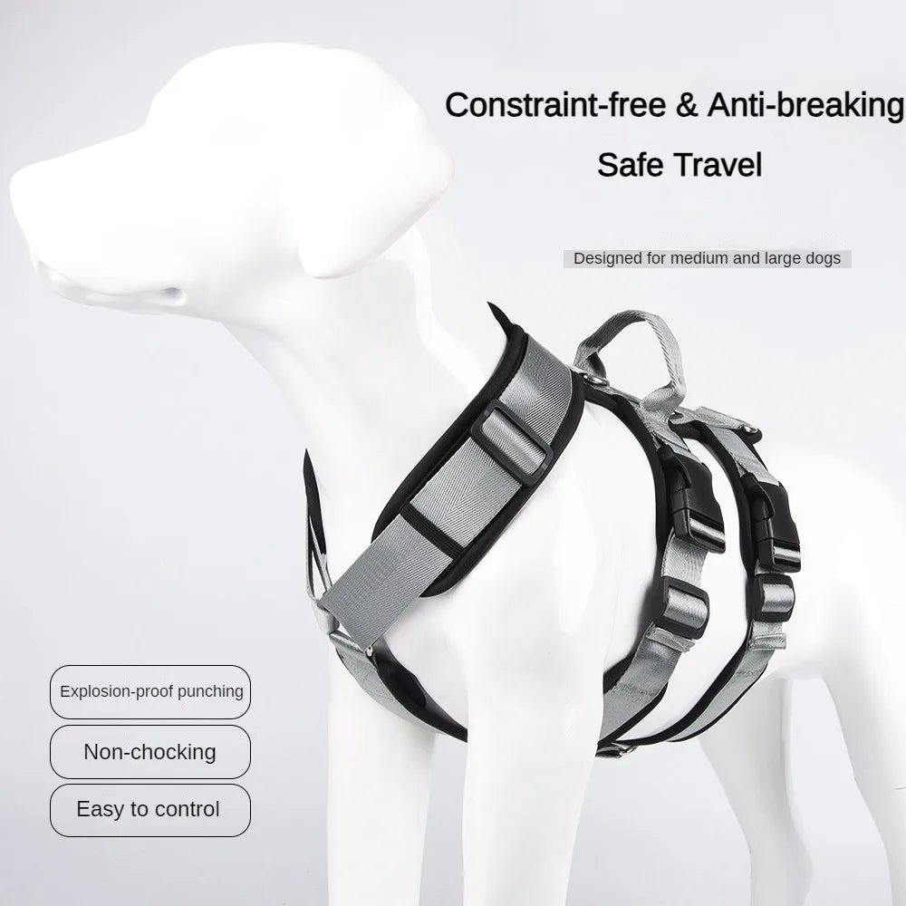 S154ce38dba8f42f5a219702c3949781cO_8063c5e1-d32c-4718-b4f6-b35b1cabad65 - bestdoggylife.shop