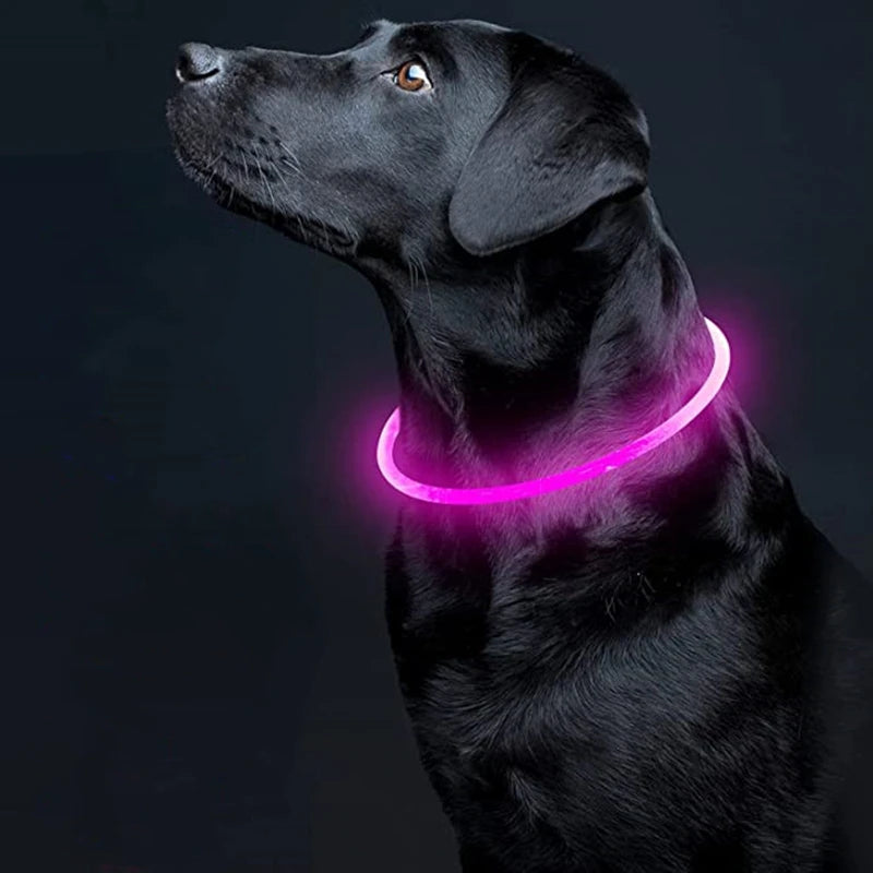 S155456a9df6145c6b0bffe3af716f954X - bestdoggylife.shop