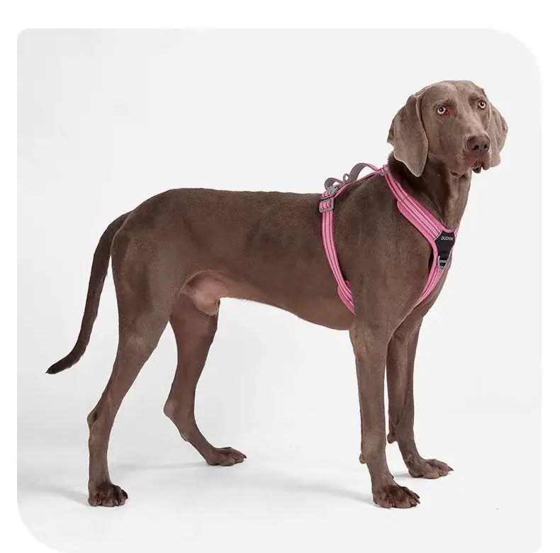 Dog Leash Anti-Pull Pet Harness Comfortable Outdoor Dog Leash Reflective Dog Harness Durable and Stain-Resistant on a dog.