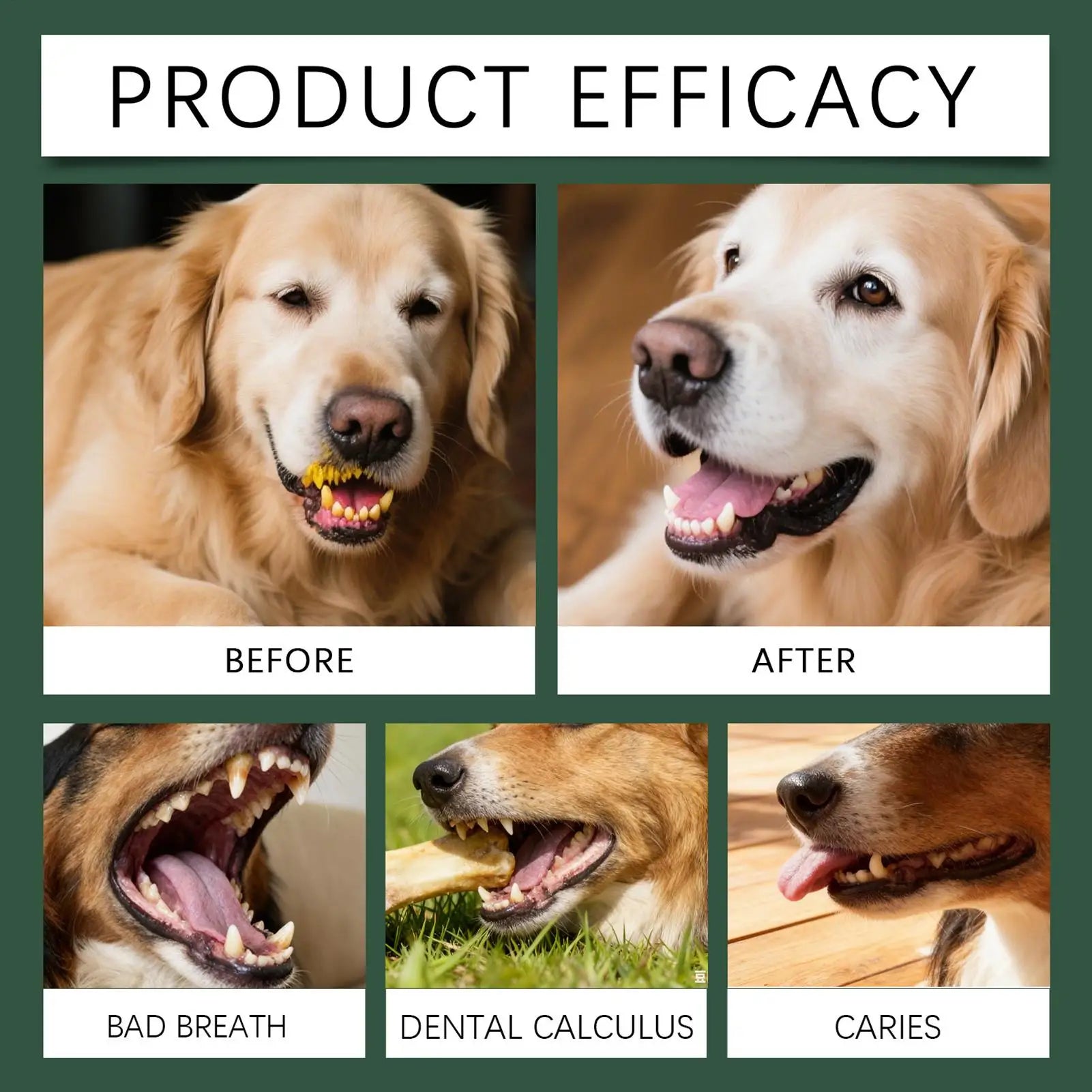 dog teeth cleaning powder product efficacy before and after for bad breath, dental calculus, and caries in dogs