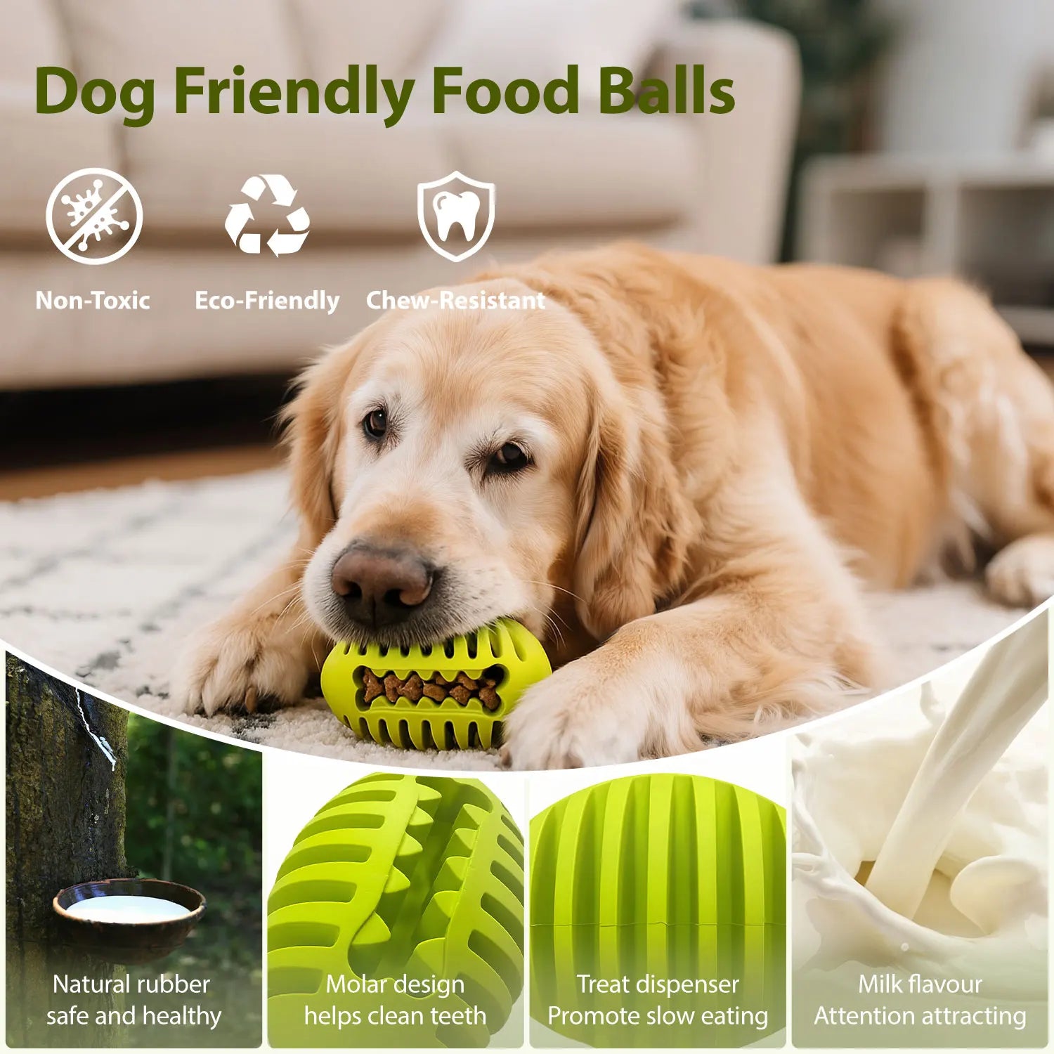 S184a12c537594046a280add27d655b5cO - bestdoggylife.shop