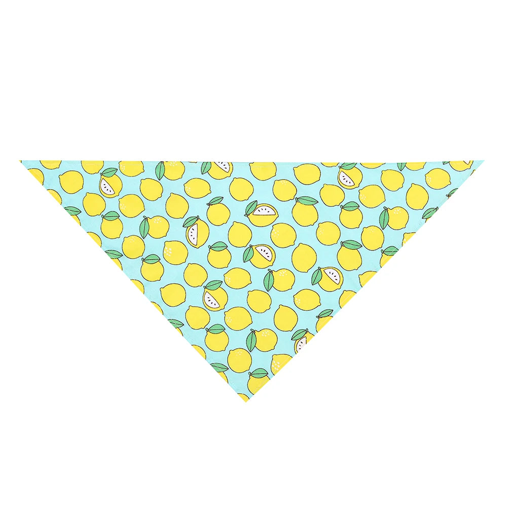 Triangle dog bandana with yellow lemon pattern on light blue background