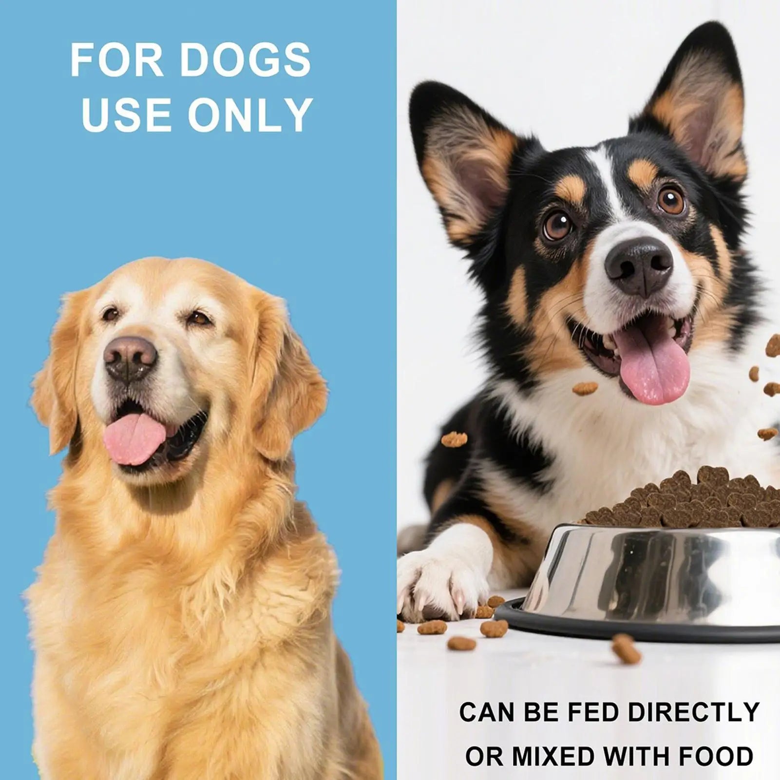 S19a22bb4dee3410785dcc2c7ccc4da84y_817d4fa9-a700-4d2f-8bd9-1ce7ffbd00b4 - bestdoggylife.shop