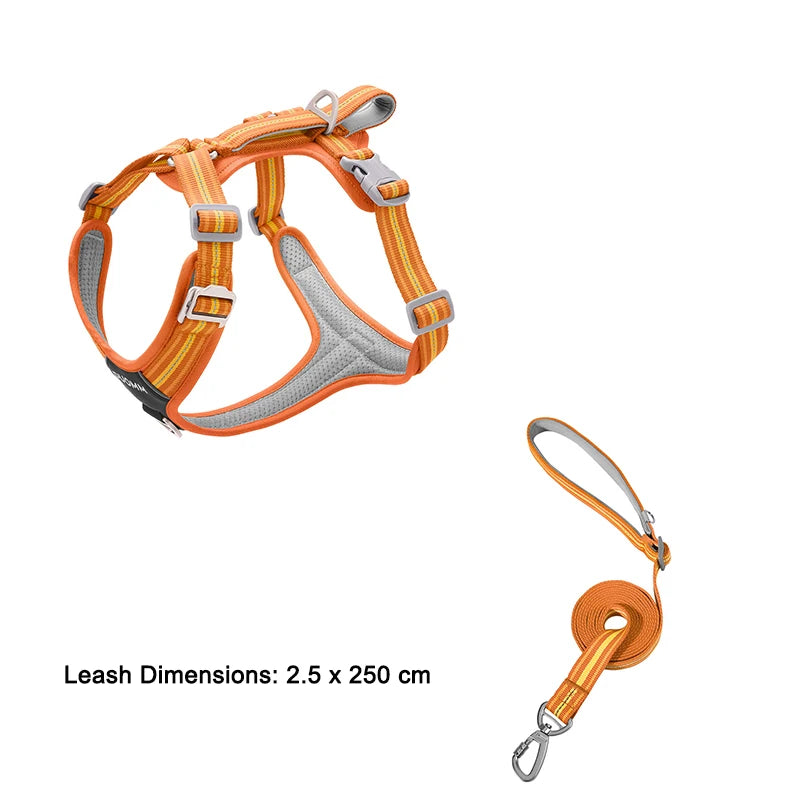 S19e16edf45d14192a6066c0737f0b1dez - bestdoggylife.shop