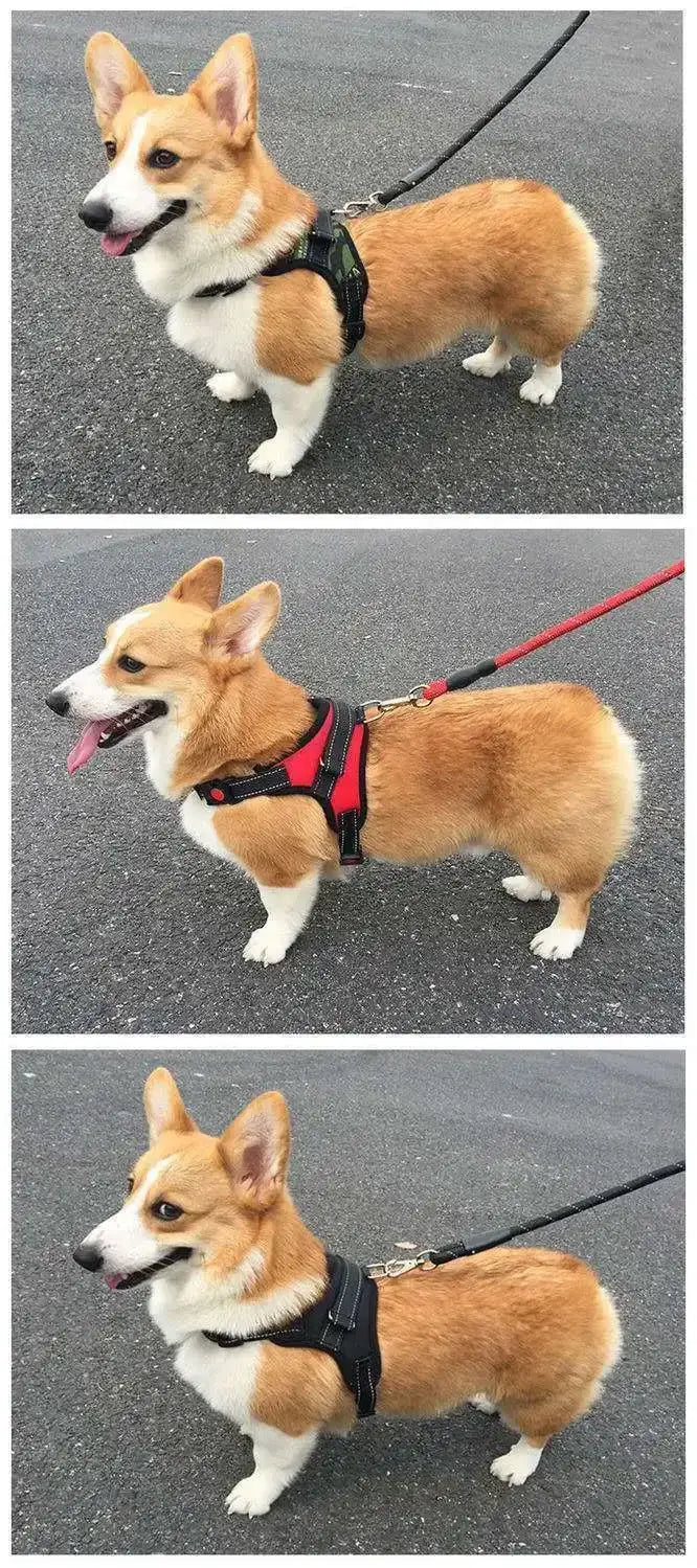 quick release dog harness vest for corgi, breathable adjustable nylon pet harness with reflective design