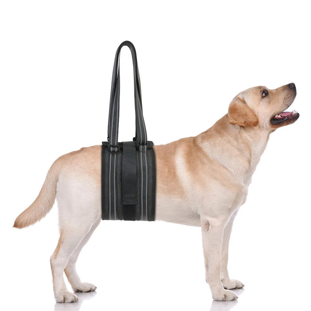Dog Lift Harness Adjustable Dog Sling for Back Legs Support Rehab Harness for Weak Rear Legs Pet Aid Assist Tool For Elderly Dog.