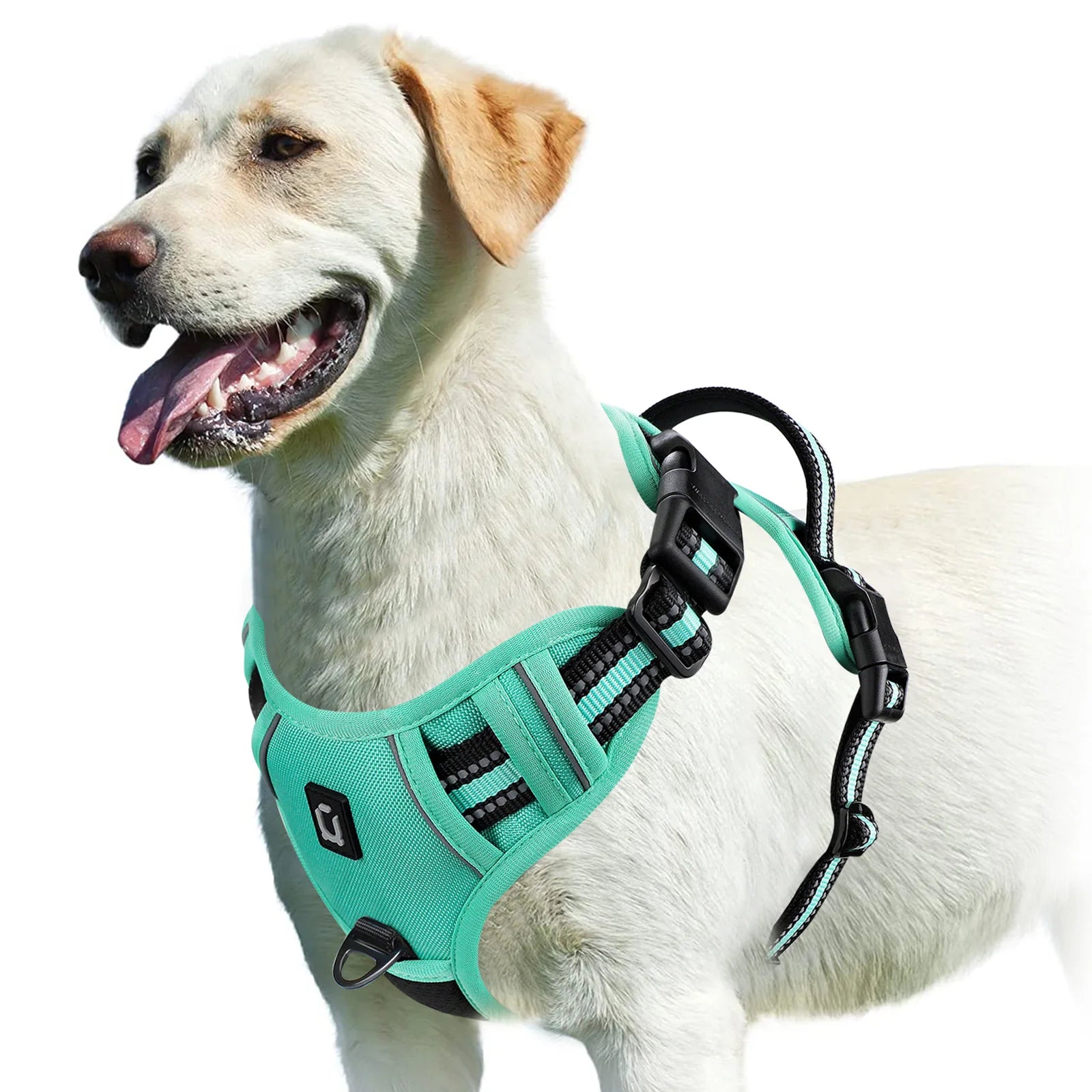 S1d87619e10b8463f8bcb771fb55abfc6H - bestdoggylife.shop