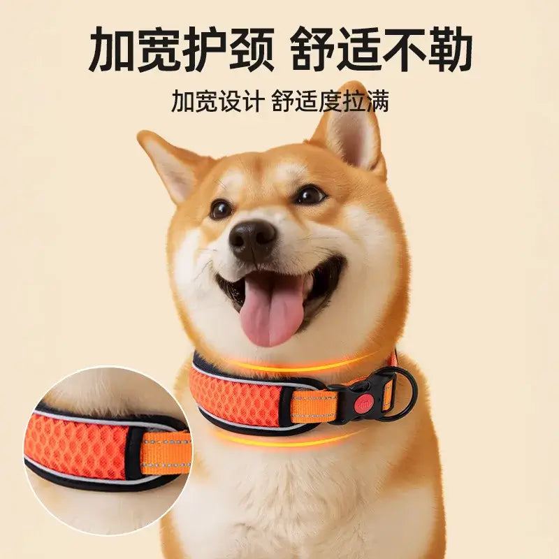 Orange reflective dog collar for puppies, padded neck collar with breathable comfort and secure buckle