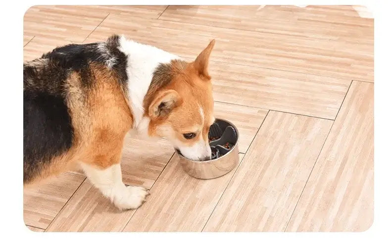 silicone slow feeder dog bowl insert for dogs, suction cup feeder insert for slow eating and mealtime control