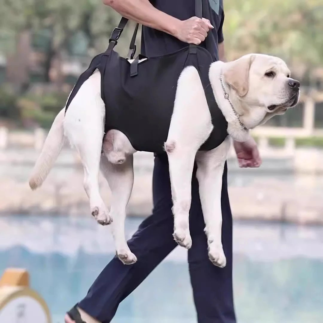 S222fcdc9ad24454f82933c9c7013545eY_af67bd41-56d3-4893-a7c9-bb37074fd6ff - bestdoggylife.shop